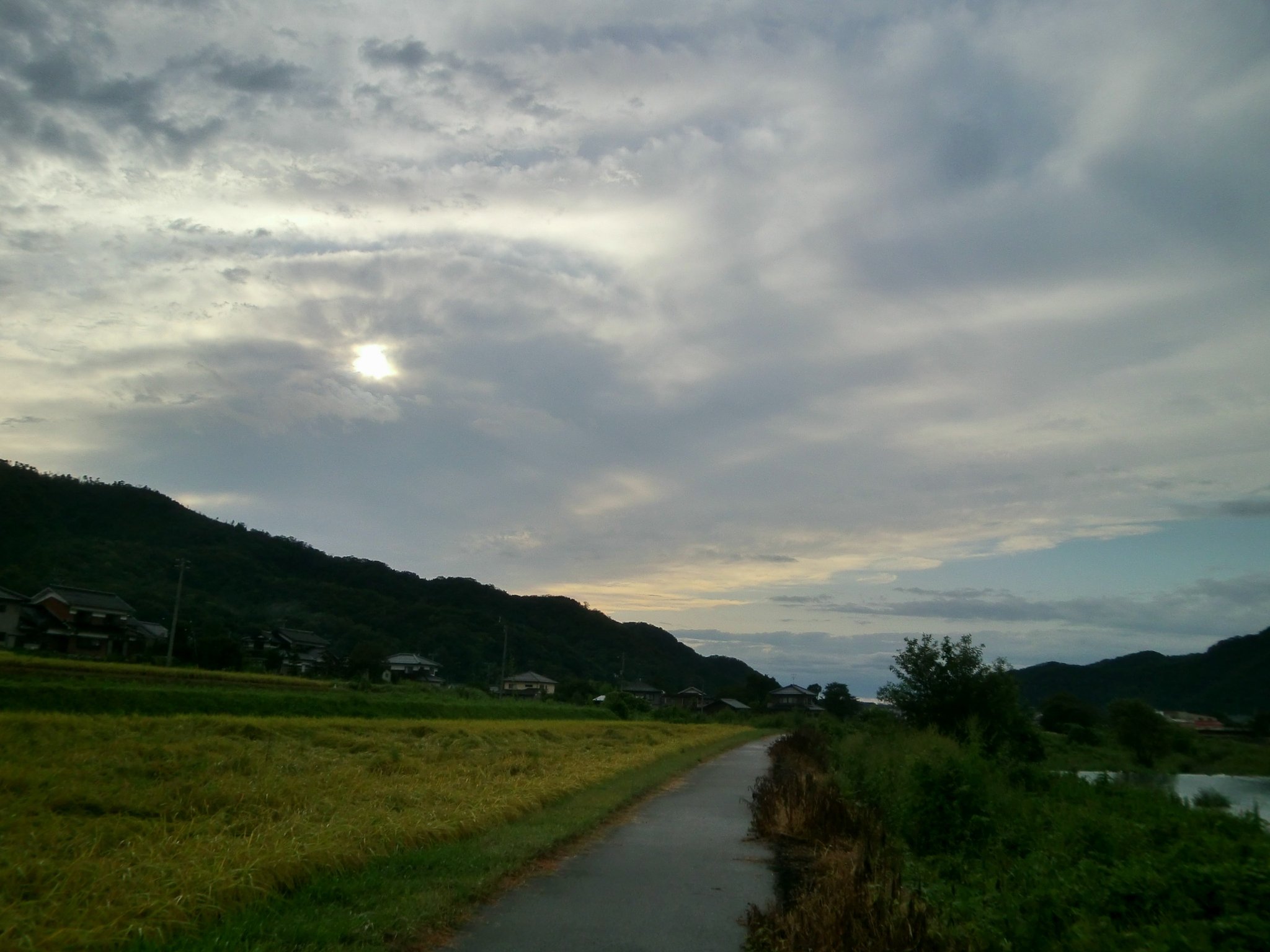 夕方近くはれてきました。
