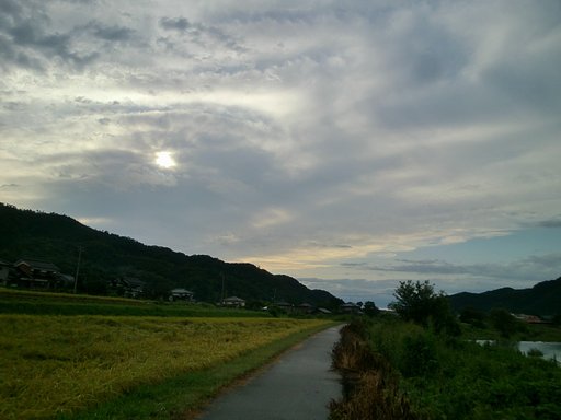 夕方近くはれてきました。