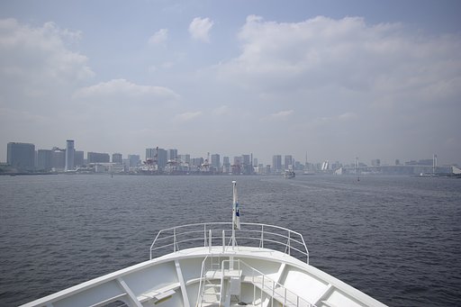 MY HEART WILL GO ON