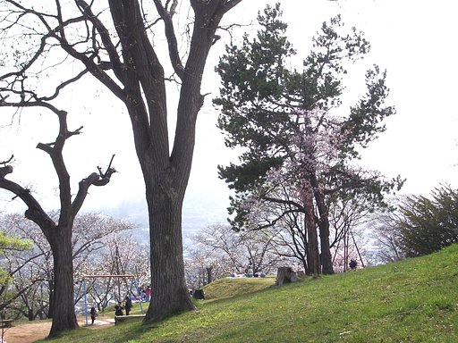 公園