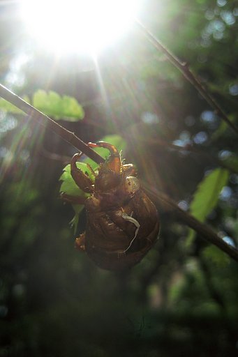 暑い夏がやって来た！