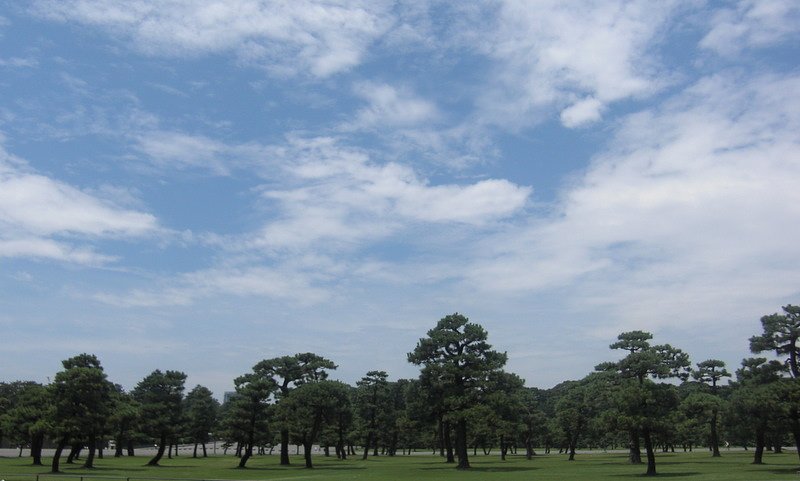 広場