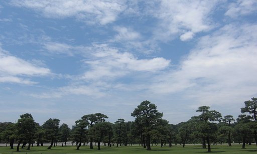 広場