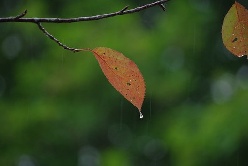 最初の１枚