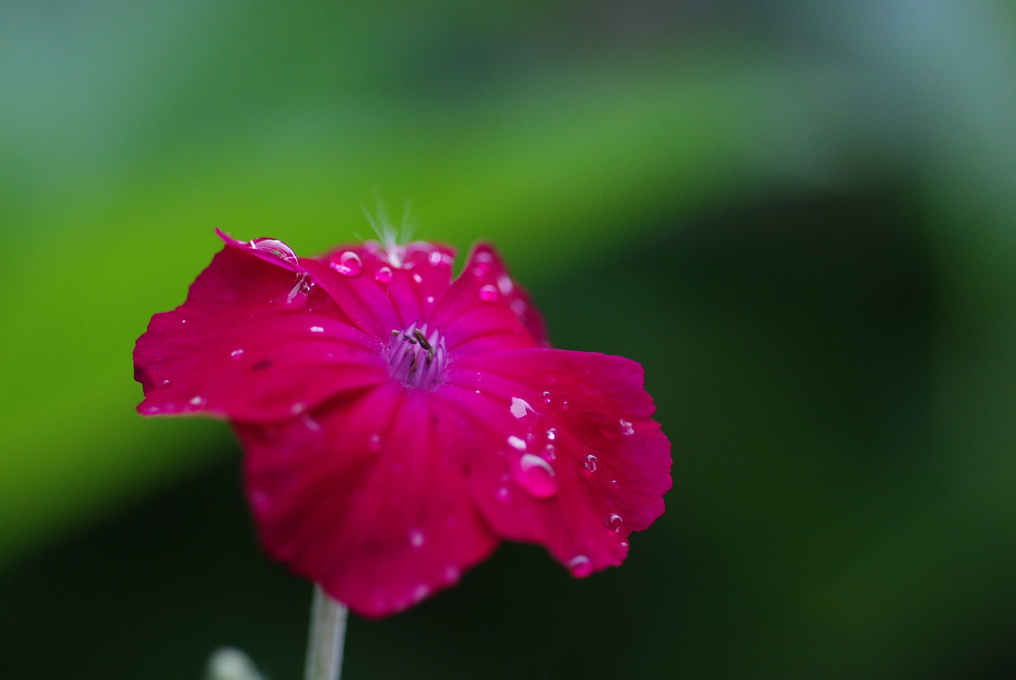 雨の合間