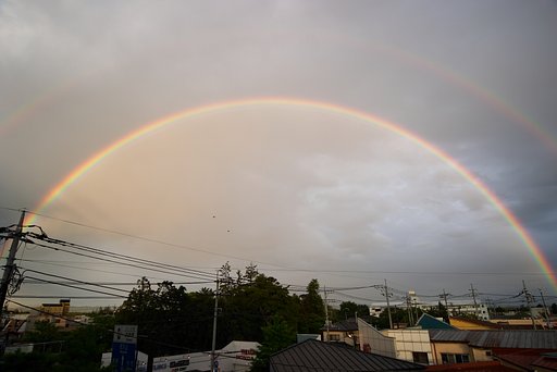 夕暮れ時に！