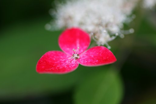 【写川柳】１イニング１５失点