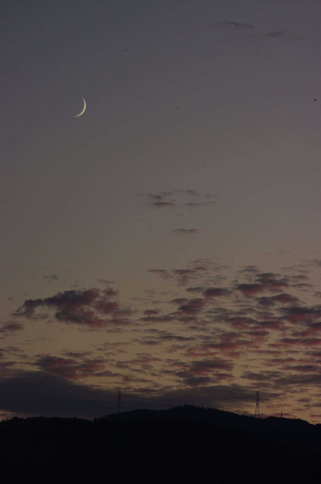 夕暮