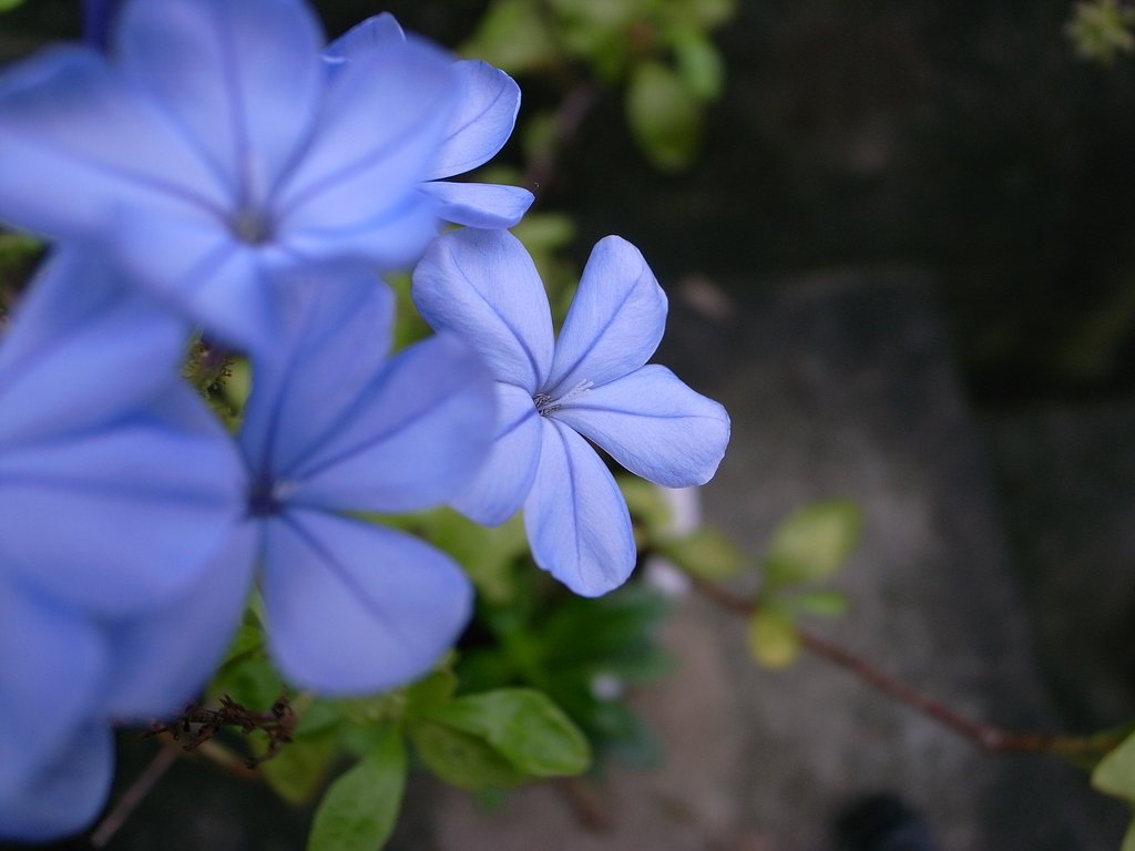 気持ちが映ります