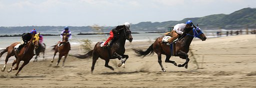 【写川柳】草競馬