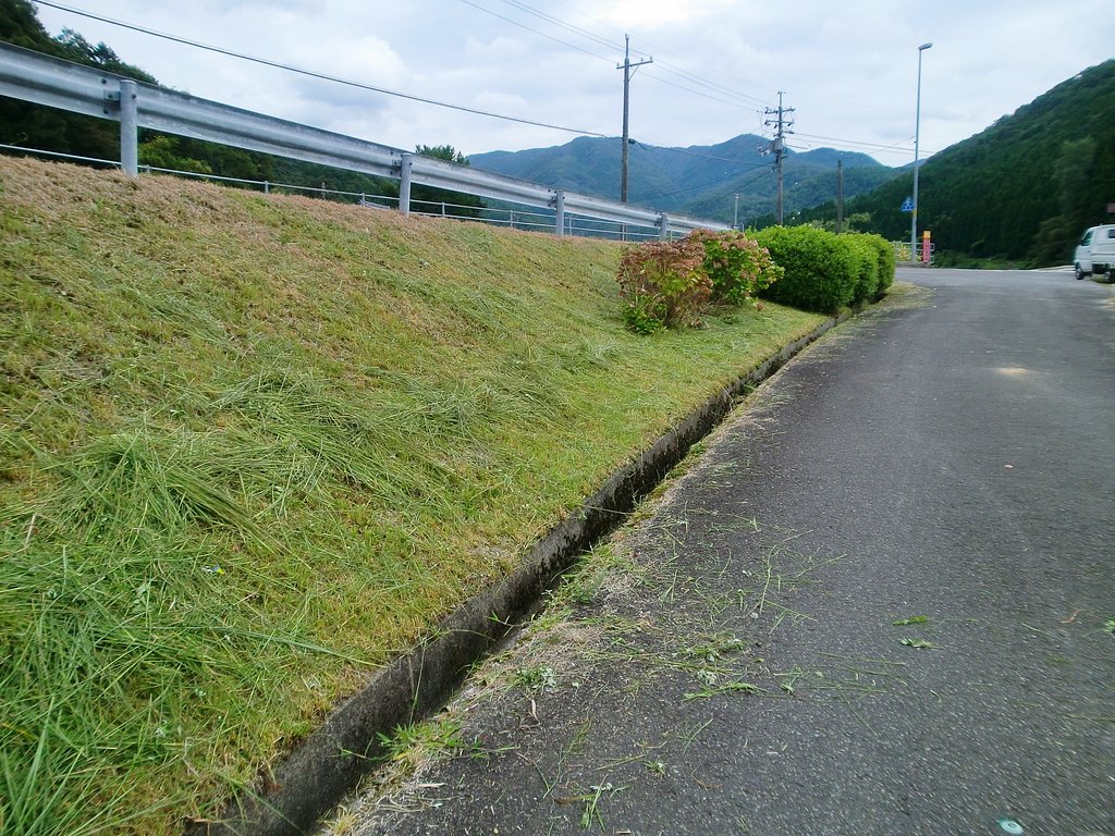 バス停付近草刈!