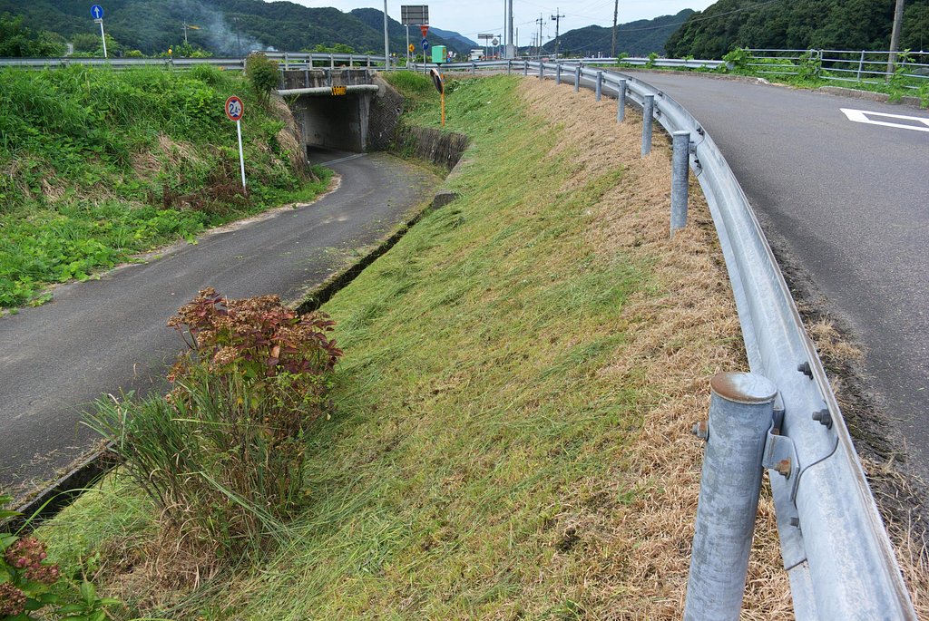 ボランティア草刈!