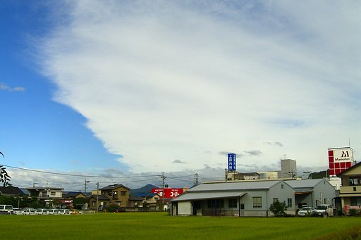 晴れてきました
