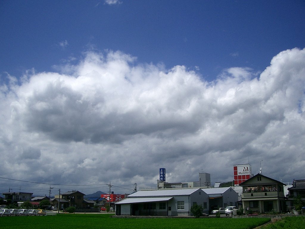 雨の後(定点観測)