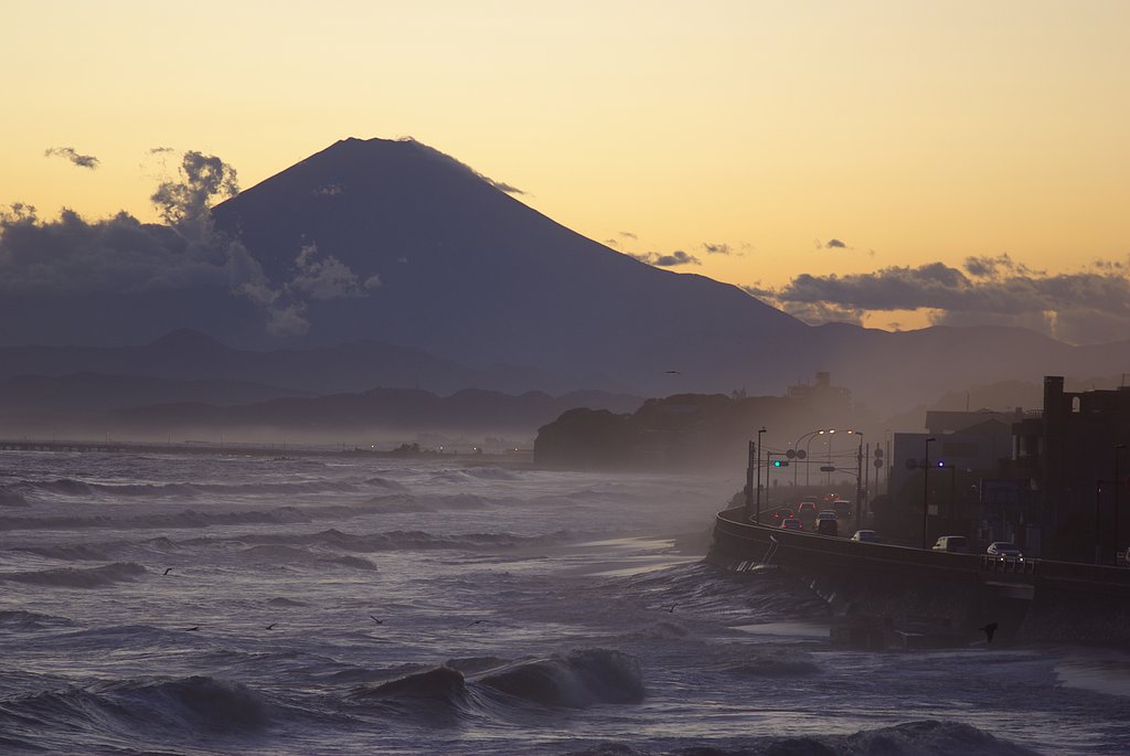 【流】躍動する海