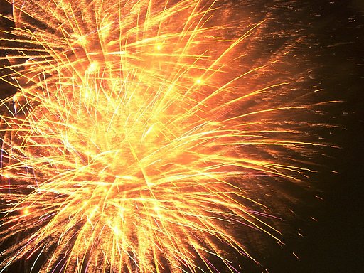 ★夏の夜の夢花火-22 八王子⑤