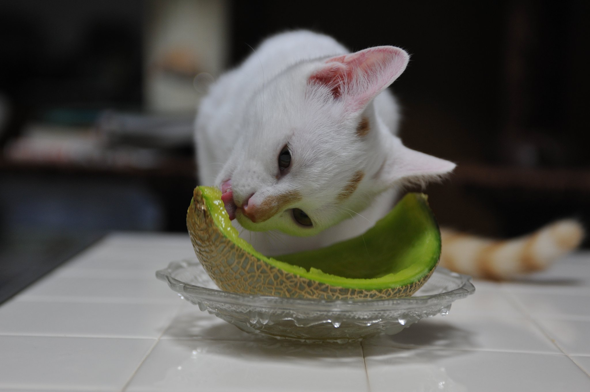 メロン
