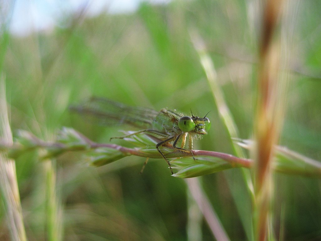 笑顔‥