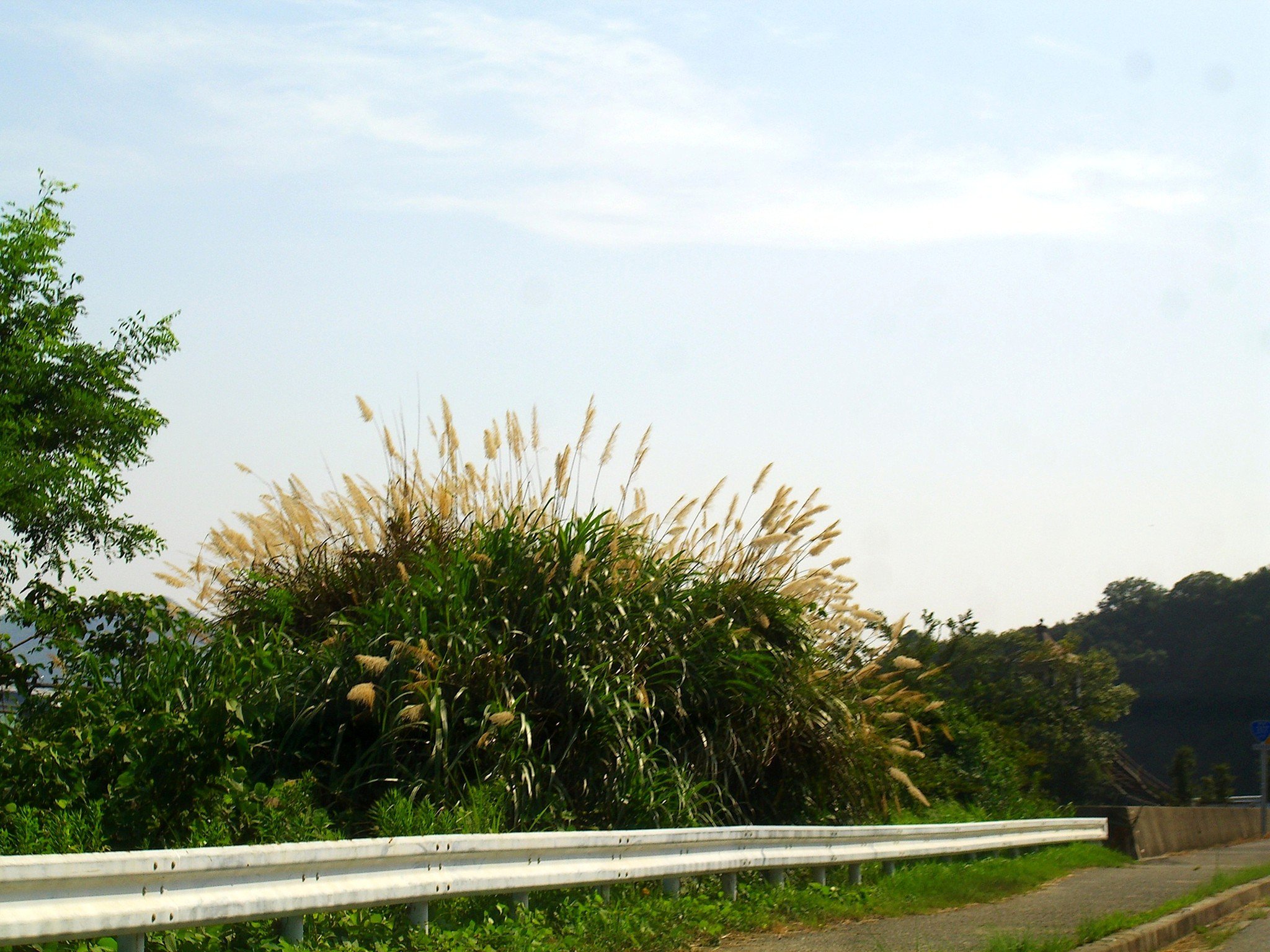 Drive-19