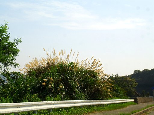 Drive-19