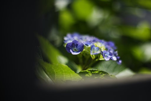 此処に居るよ