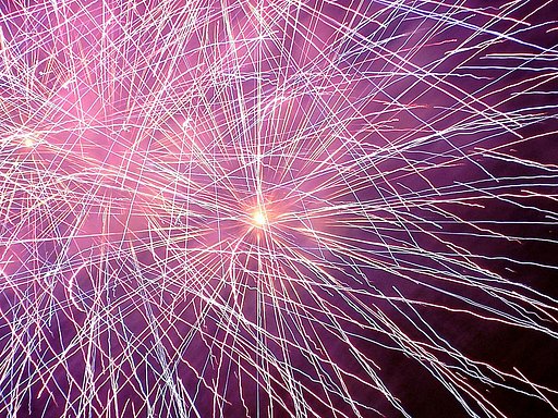 ★夏の夜の夢花火-29 八王子⑫
