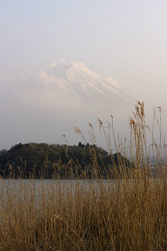 なんとか・・・