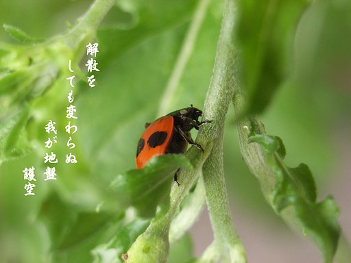 関係ない