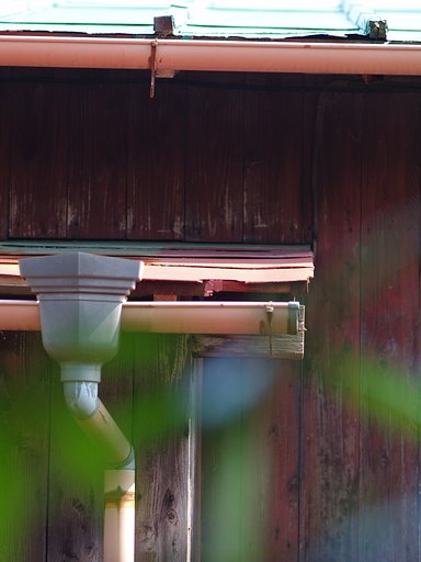 【夏】公爵の設定