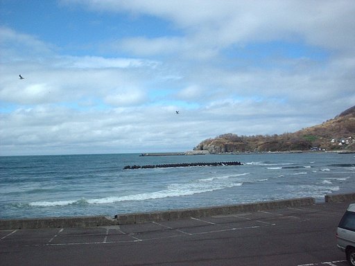 海