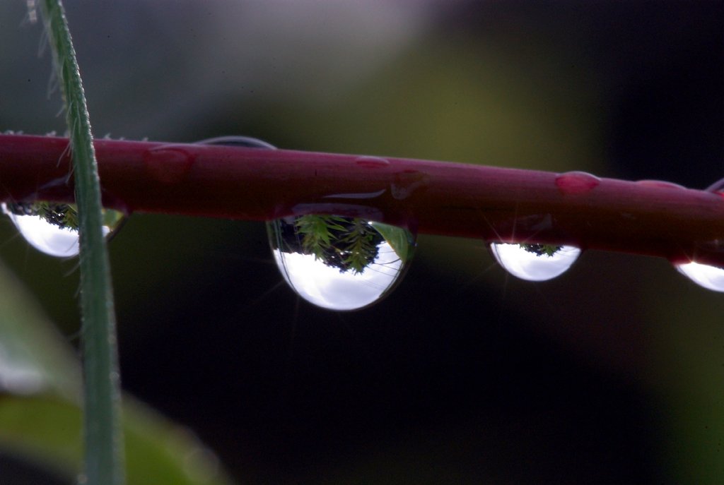水滴素敵