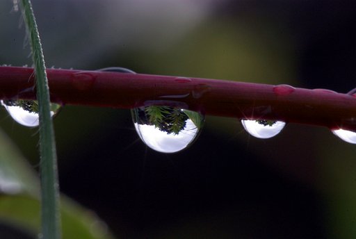 水滴素敵