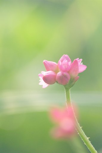 柔らかな光に包まれて