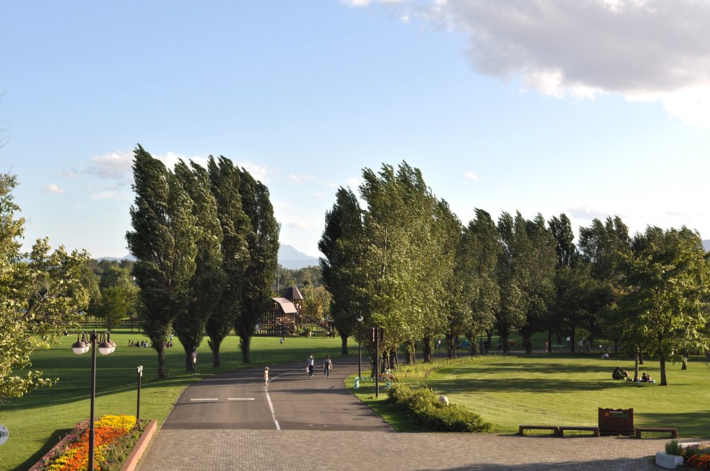 公園