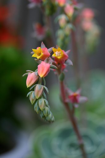5月29日の写真