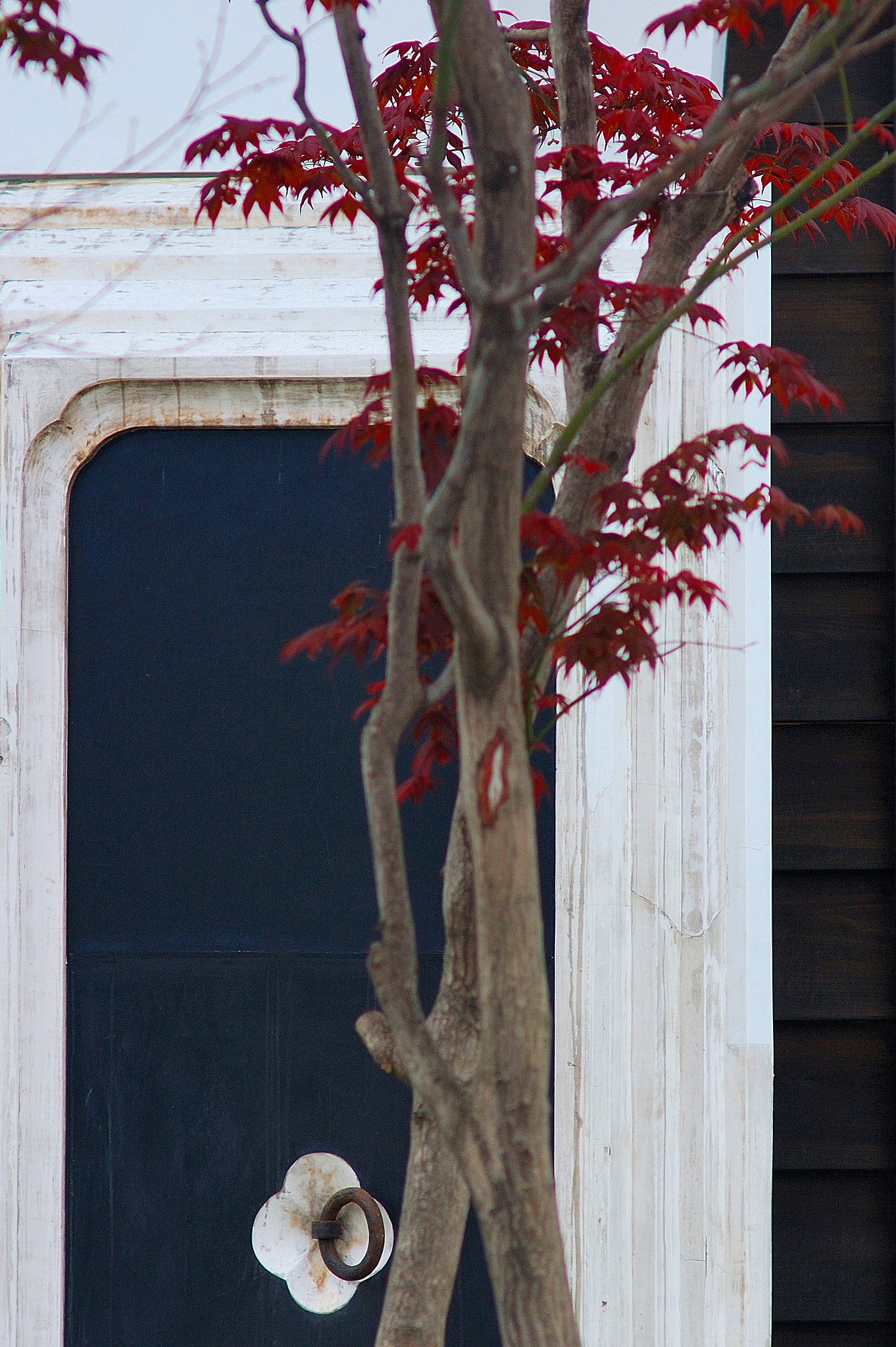 蔵　（Old　Lens　test）