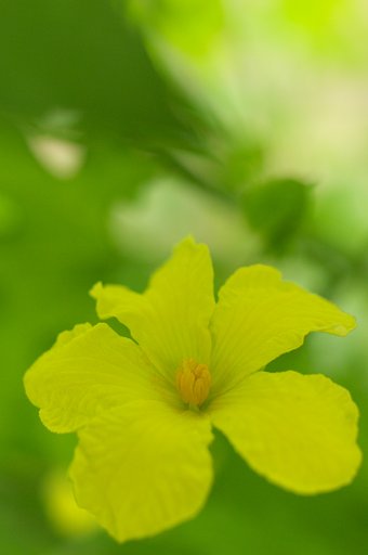 日陰で一休み