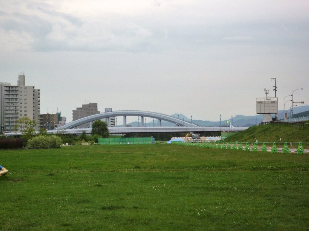 カラーの景色