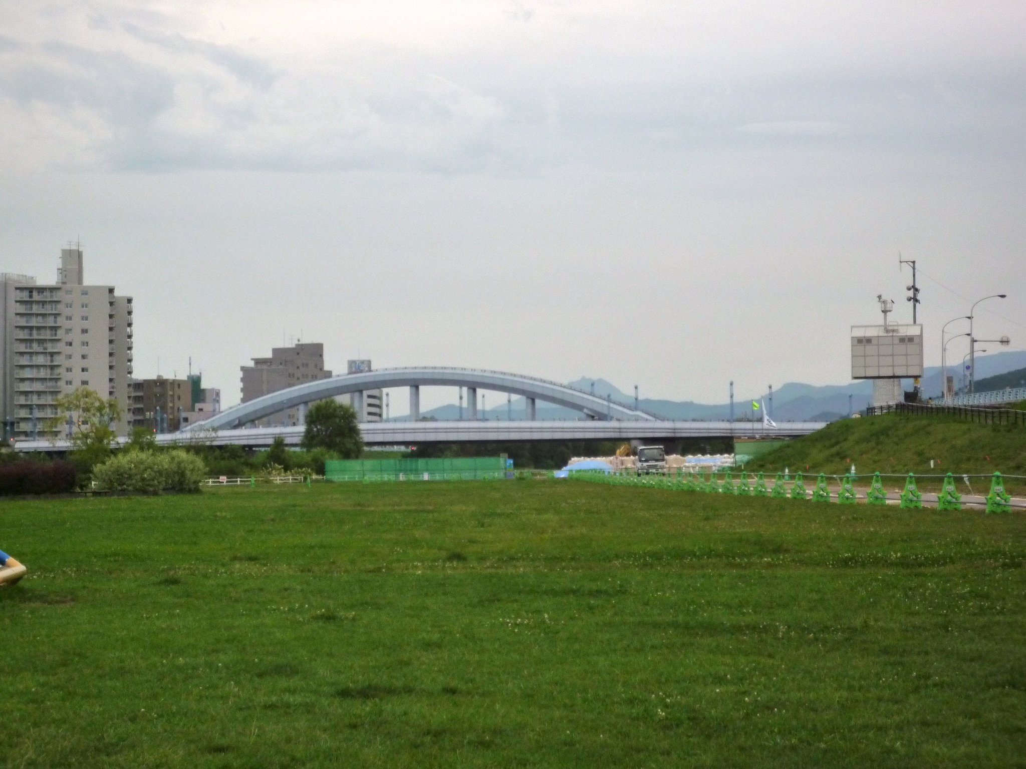 カラーの景色