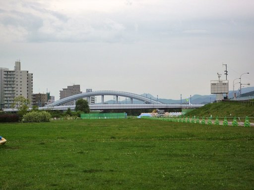 カラーの景色