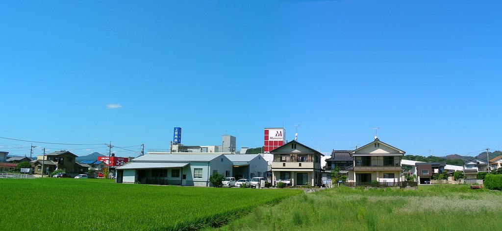 真っ青