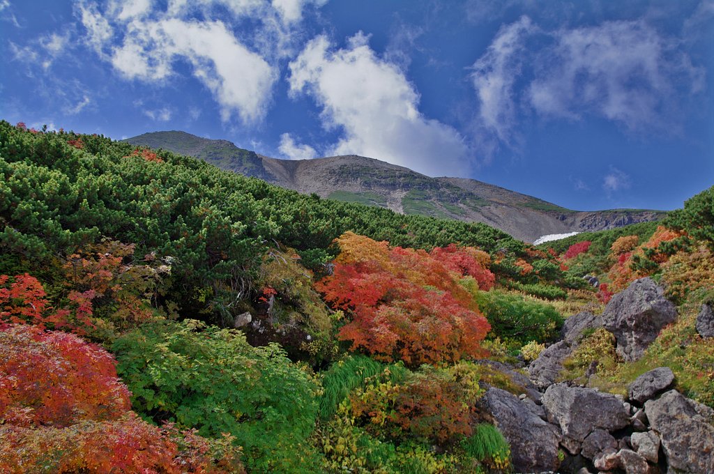 山の紅葉（HDR）