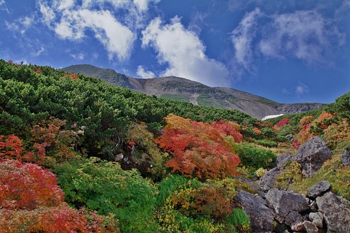 山の紅葉（HDR）