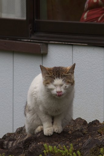 変顔