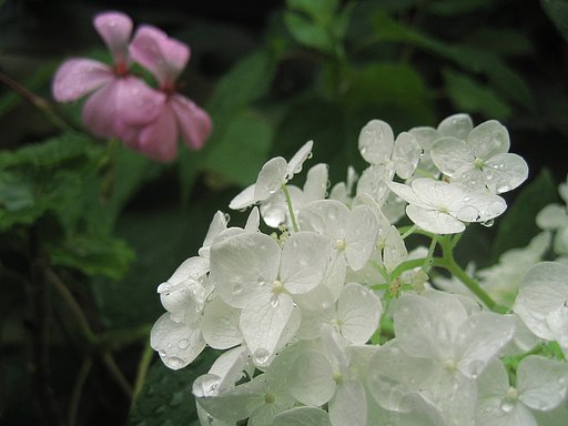 【水】雫