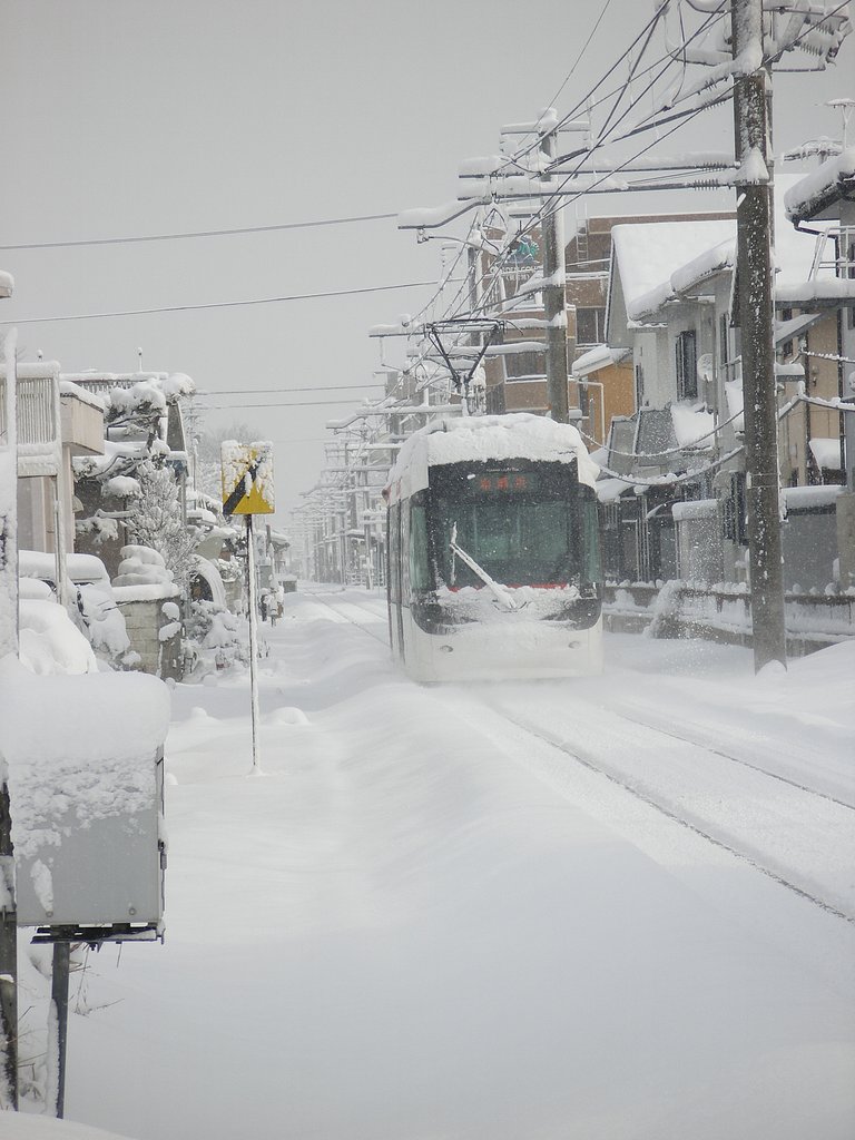 雪のライトレール