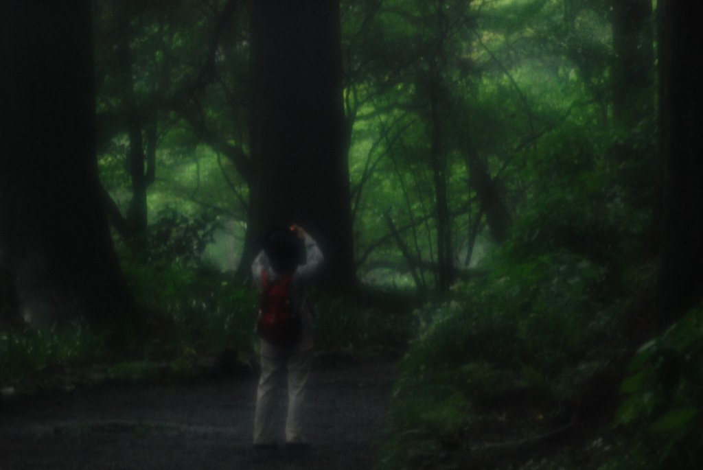 霧の箱根路