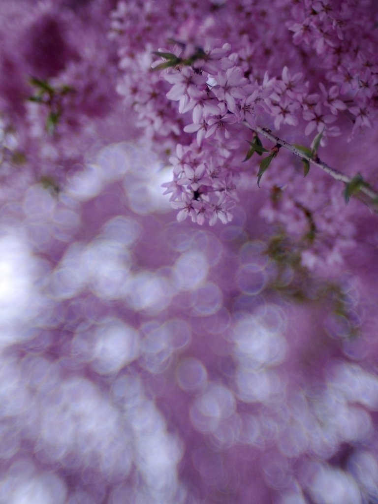 光のシャワー