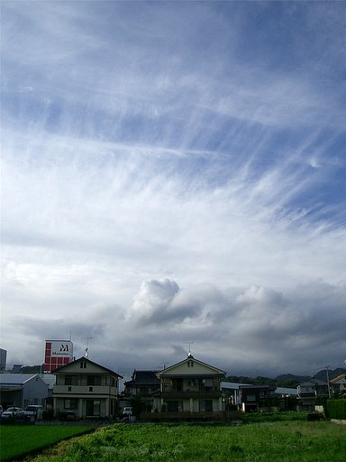 夕焼けは無し