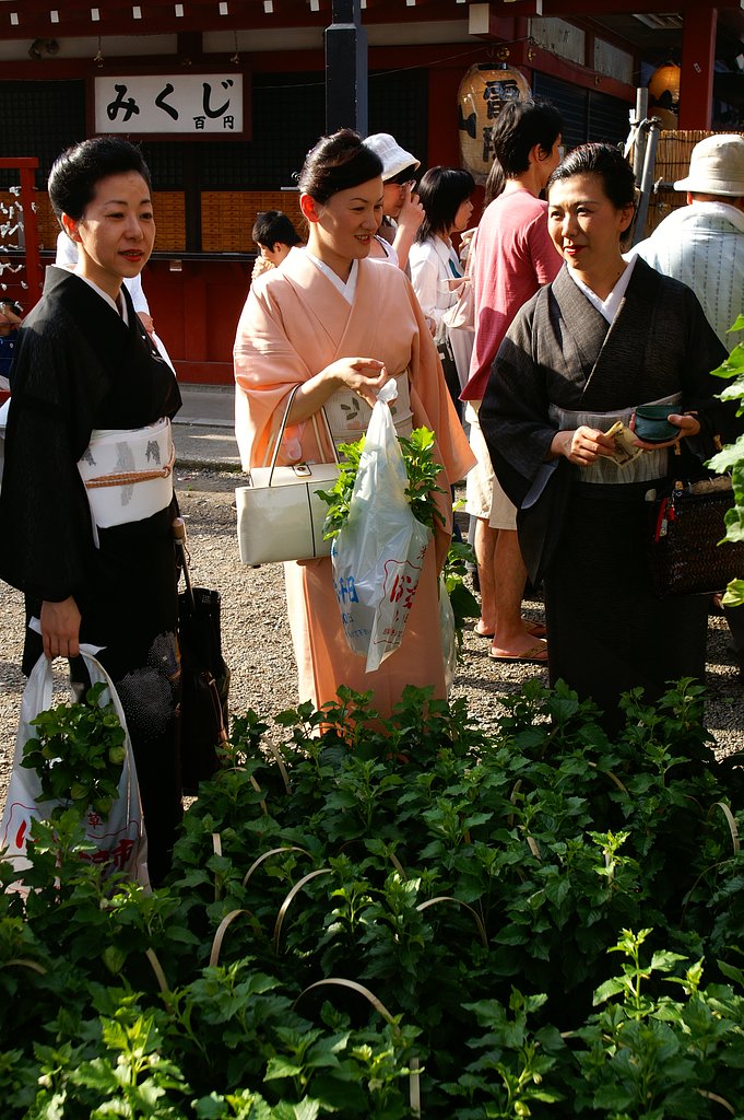 ほうずき市